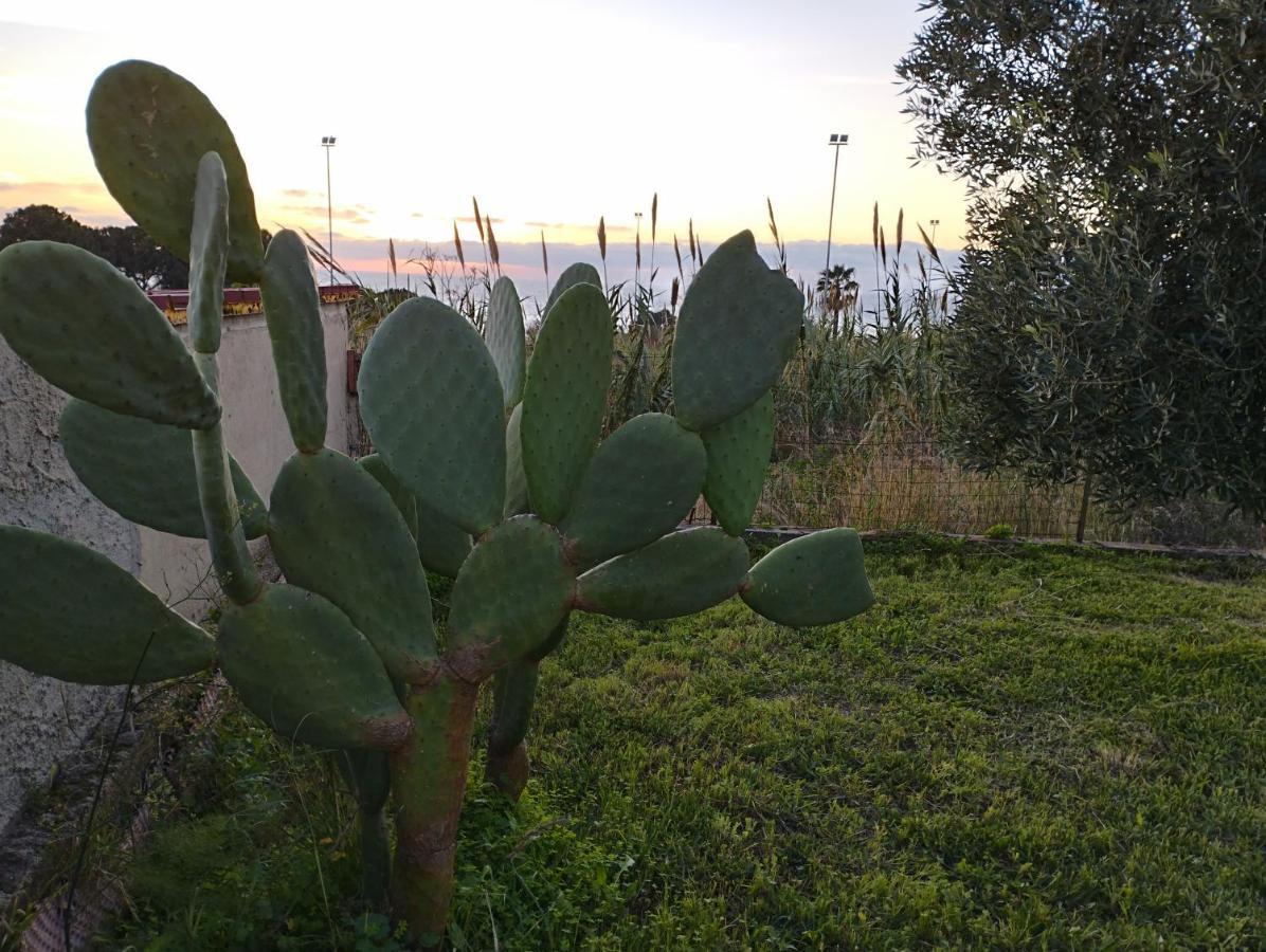 Villa Bianca Joppolo المظهر الخارجي الصورة